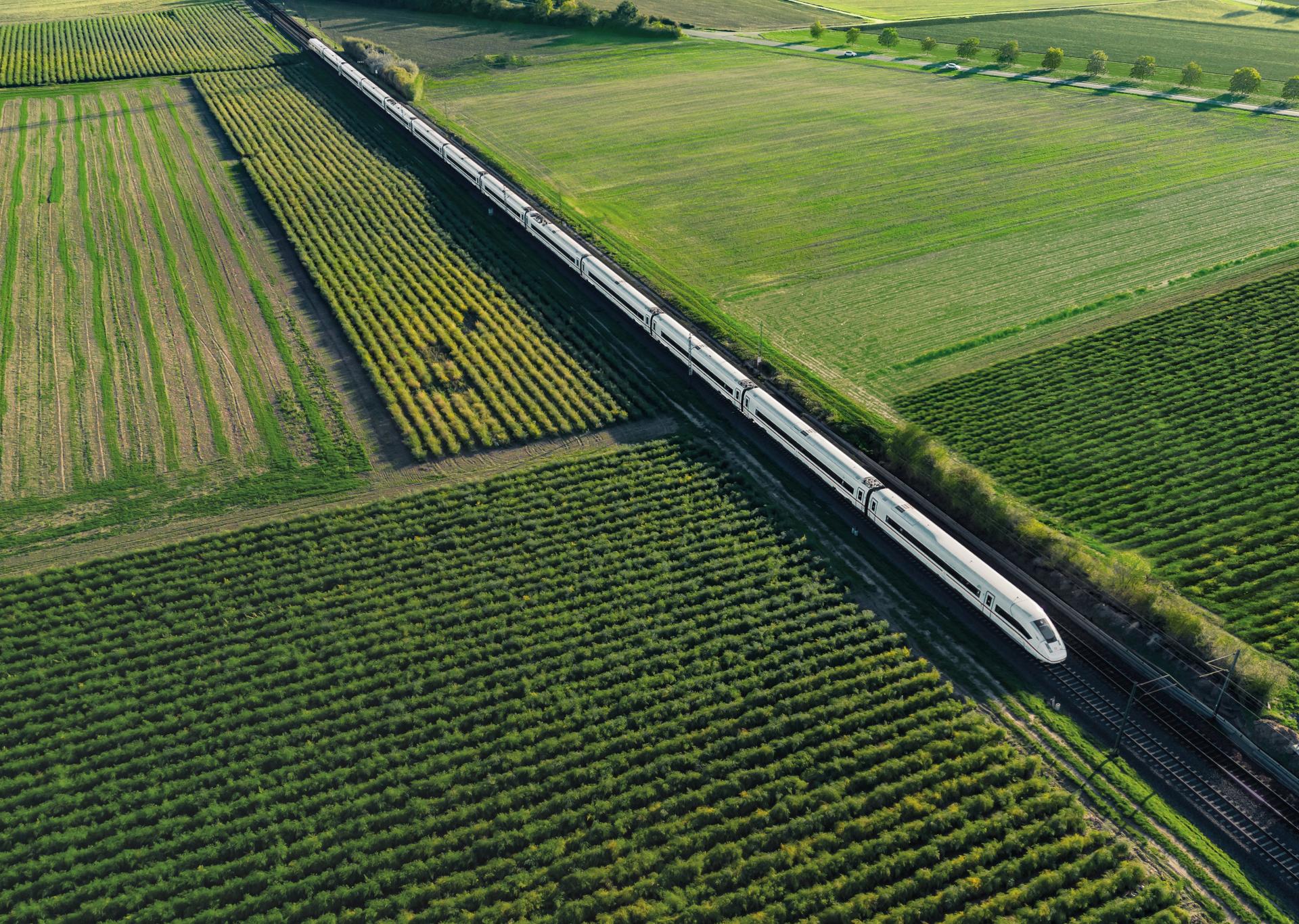 Aerial view of a sleek passenger train traveling through lush green fields with well-organized rows of crops, showcasing efficient transportation and agriculture.